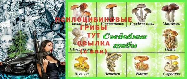 дурь Аркадак