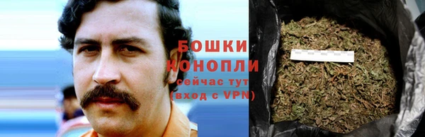 дурь Аркадак