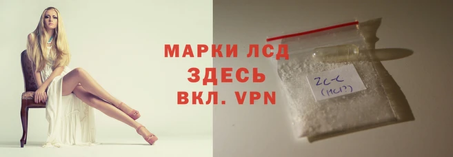 мяу мяу мука Армянск