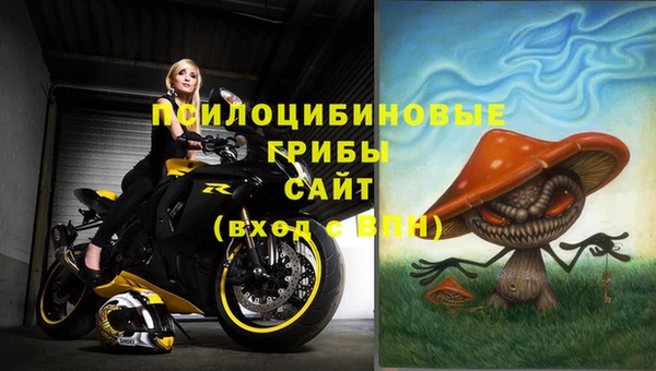 герыч Арсеньев