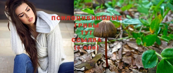 герыч Арсеньев