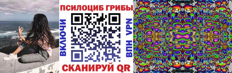 Галлюциногенные грибы прущие грибы  Пучеж 