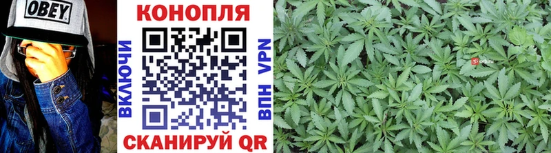 Бошки марихуана Ganja  Пучеж 